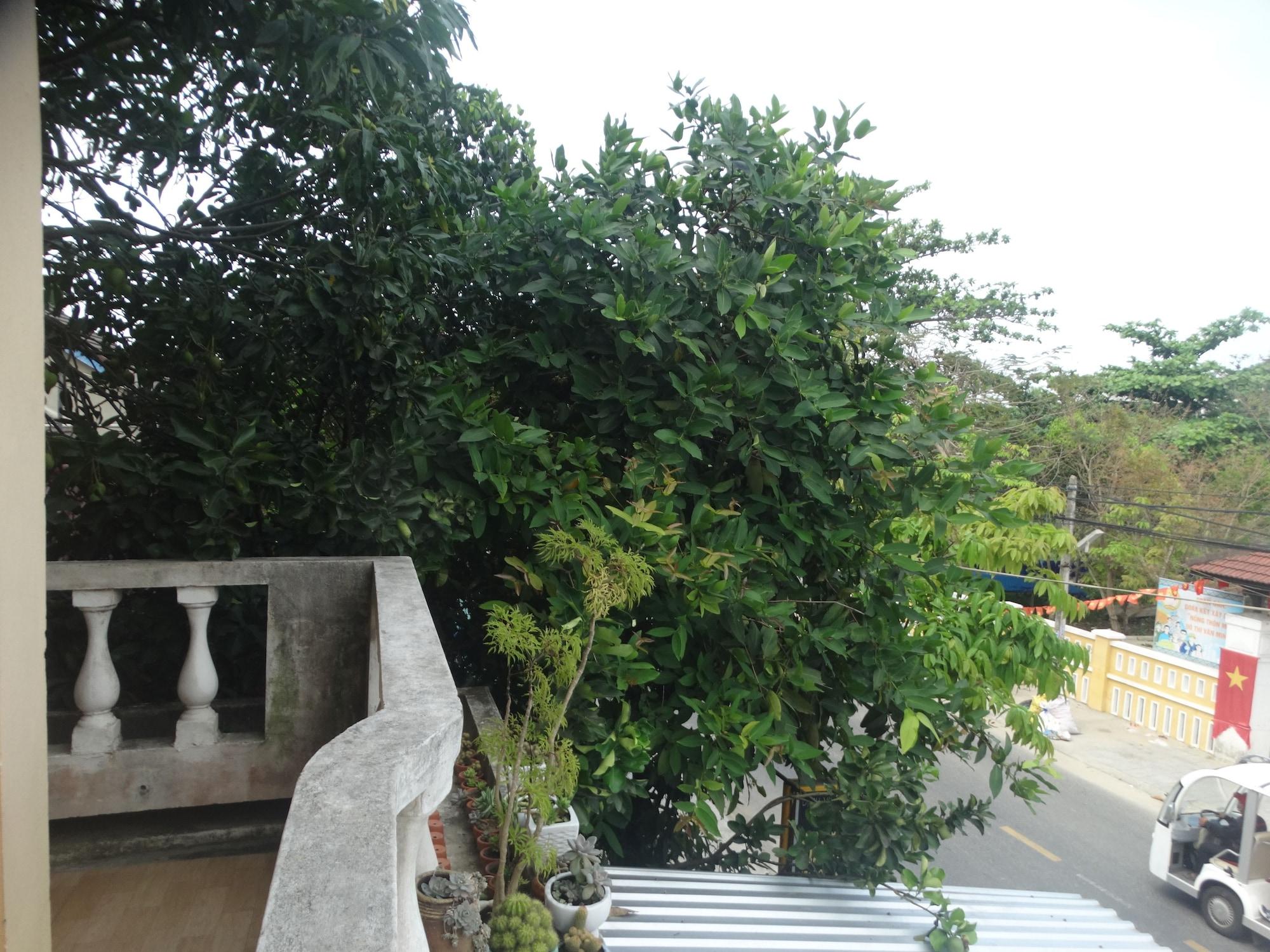 Yellow House Homestay Hoi An Luaran gambar