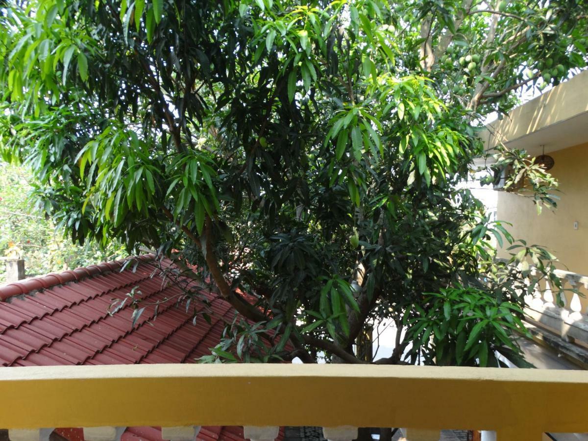 Yellow House Homestay Hoi An Luaran gambar